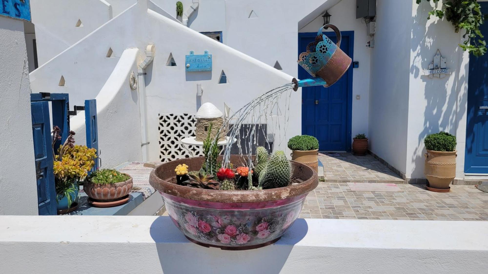 Fantastic View Studios كيثنوس المظهر الخارجي الصورة